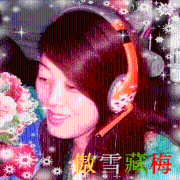 傲雪藏梅相片