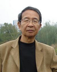 晨枫相片