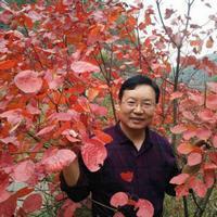 屈松林相片