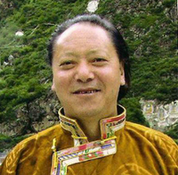 泽多相片