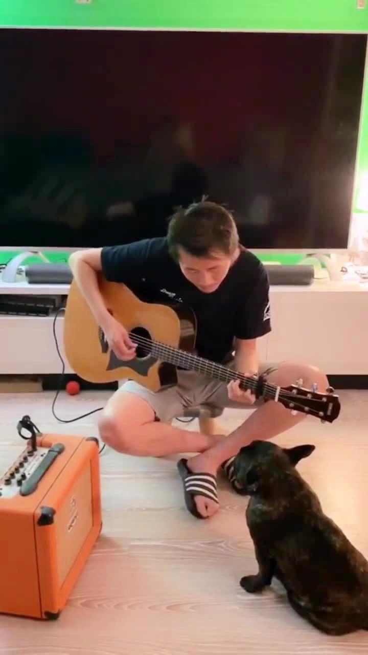 大叔对狗弹琴，哈哈。