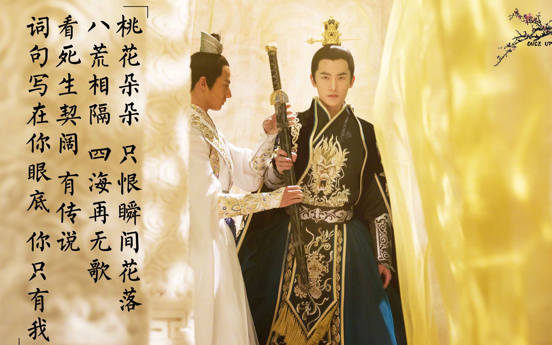 醒图 V1.44.66 iPhone版