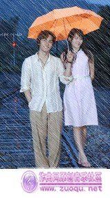 天成作 作 《你像风，我似雨》简谱