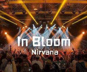 《In Bloom吉他谱》_Nirvana_未知调_吉他图片谱2张