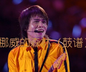《挪威的森林（鼓谱）吉他谱》_伍佰 图片谱1张