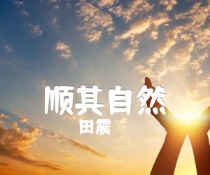 《顺其自然吉他谱》_田震_C调 图片谱3张