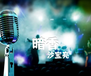 《暗香吉他谱》_沙宝亮_未知调 图片谱1张