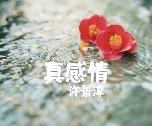 《真感情吉他谱》_许景淳 图片谱1张