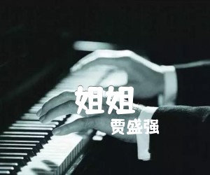 《姐姐吉他谱》_贾盛强 图片谱2张