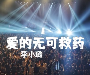 《爱的无可救药吉他谱》_李小璐 图片谱1张
