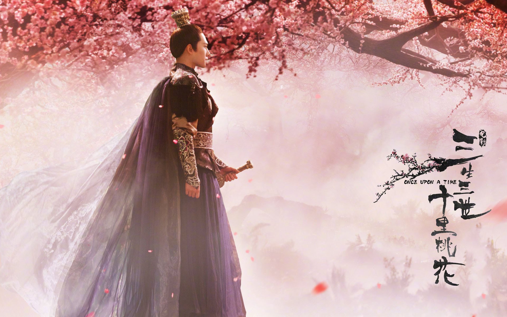 刘强东直播炒菜