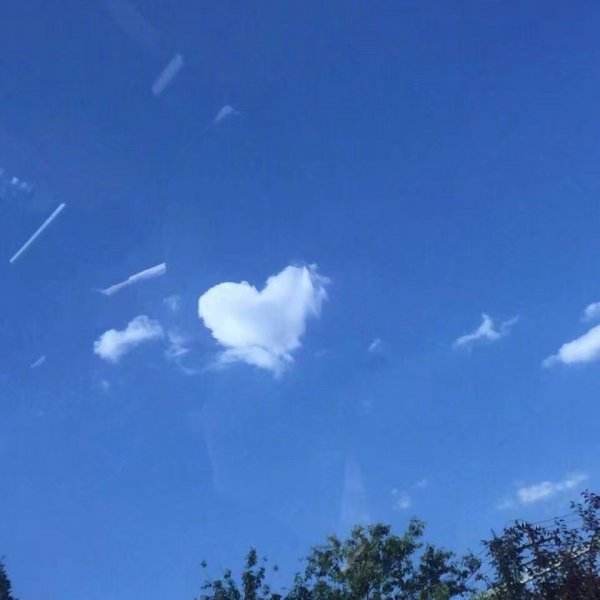 Elton John-Can You Feel the Love Tonight钢琴谱