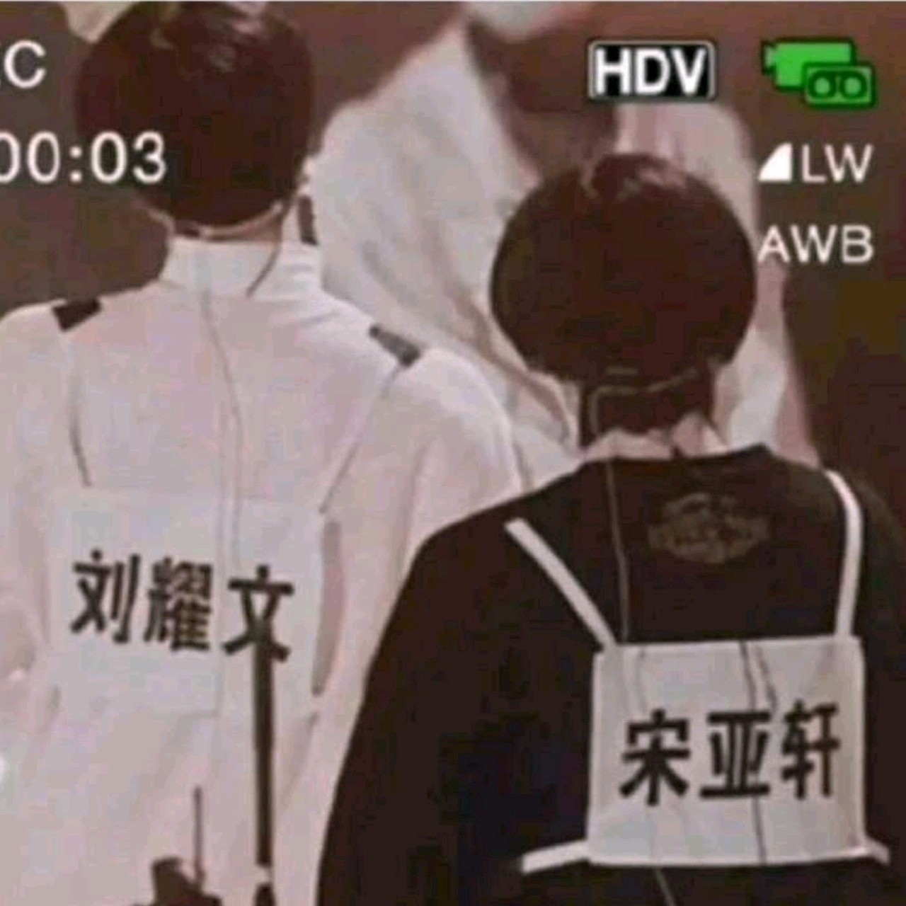 书信成鸽的个人空间
