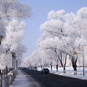 初雪/The First Snowflakes-C调简单版-钢琴谱