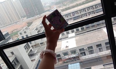 我嘞个黑贝贝！！