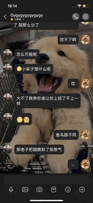 感觉自己今天伤感四了