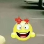 花开有声1954