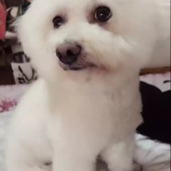 悾空