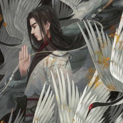浮云骑士丶
