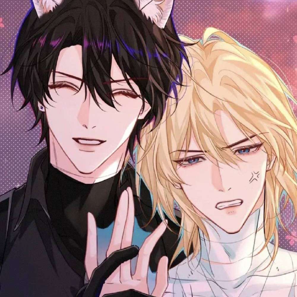 啵啵鱼and猫猫头