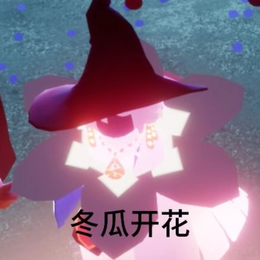 死盖光遇·琦