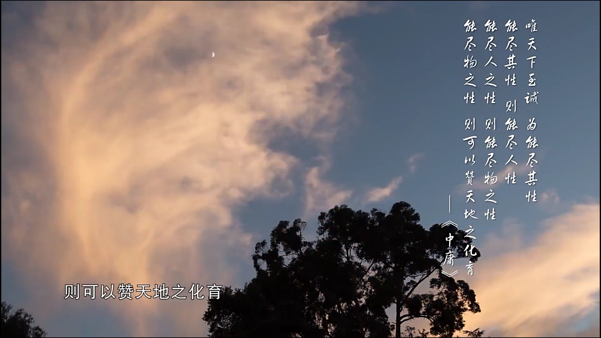 火龙