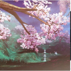 樱花雨（配打击乐）
