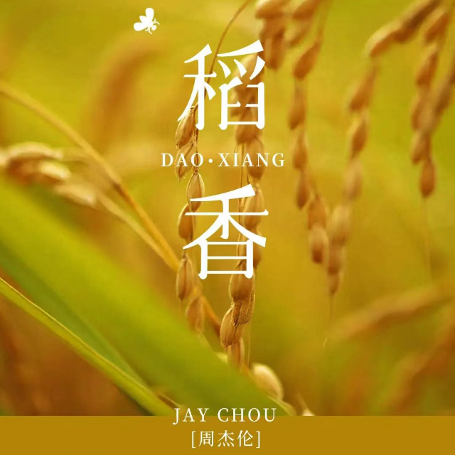 《稻香》（C调简易版）周杰伦