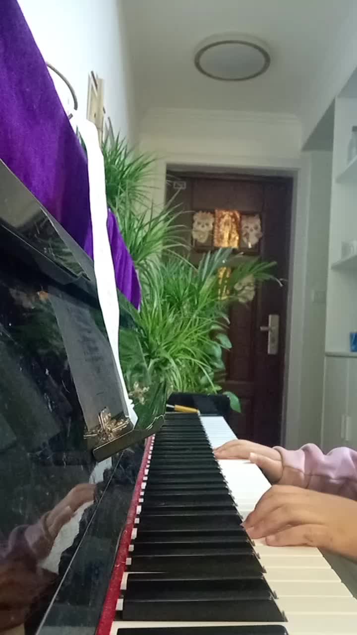 想要的歌来啦
