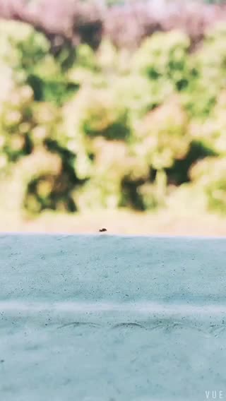 没事瞎拍，哪里都是风景。