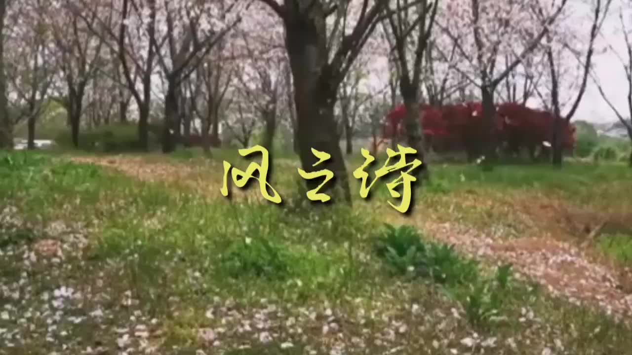 静 水 流 深 发布了一个钢琴弹奏视频，欢迎