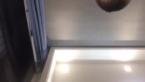 yannick 发布了一个钢琴弹奏视频，欢迎来围