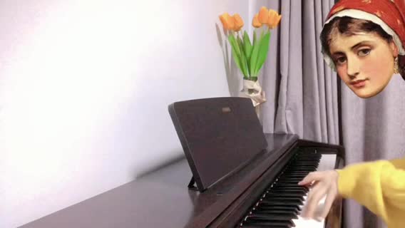 治愈小众钢琴曲《song for momo》
